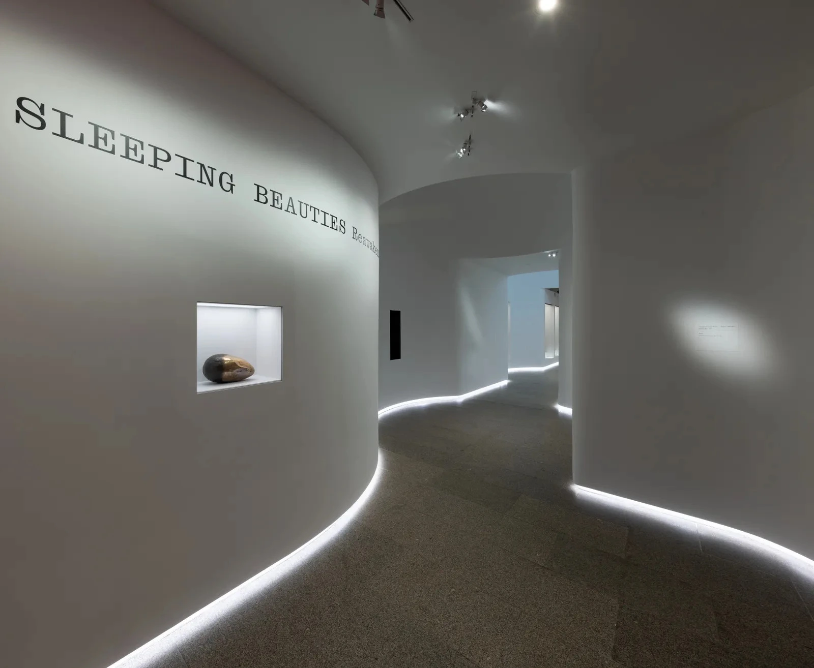 the title wall sleeping beauties reawakening fashion the met