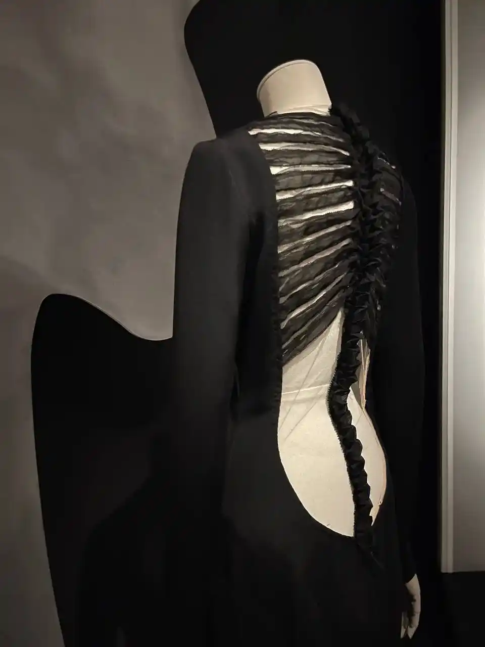 upload-d72ab05a-14c4-4181-a03b-ee5047d9ccba (1)