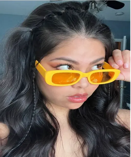 Butterfly Braids hairstyle