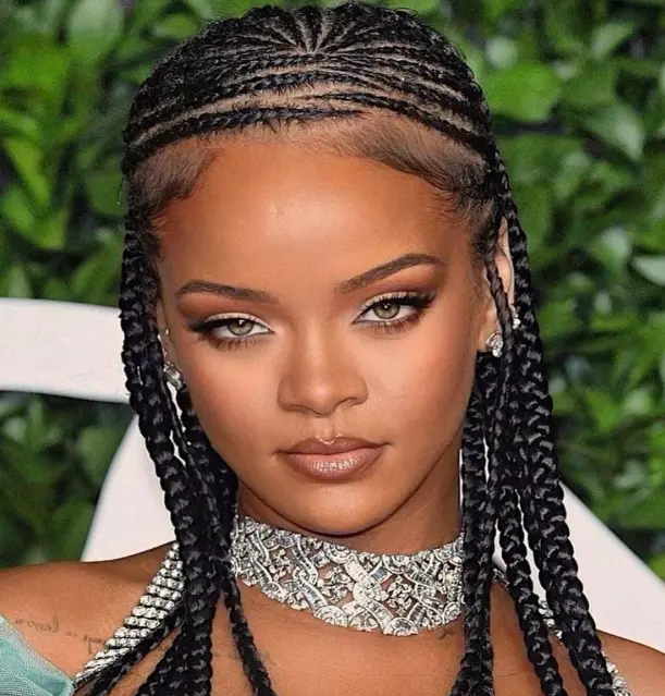 Micro Hair Braids Style