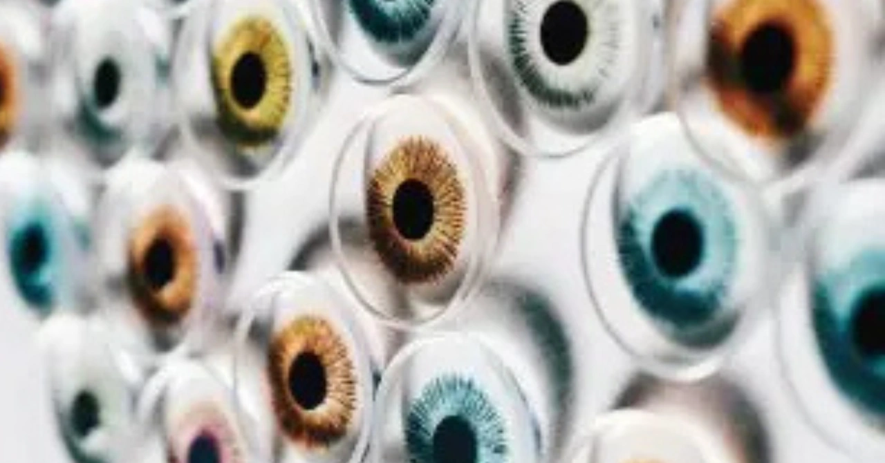 Which Lens Color Best Complements Neutral Tones in Clothing?