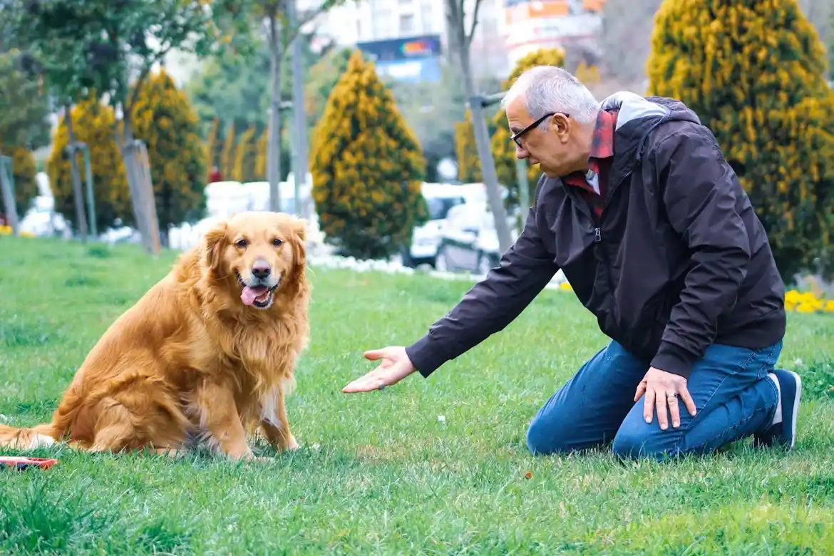 Dog Parenting Challenges for Aging Adults