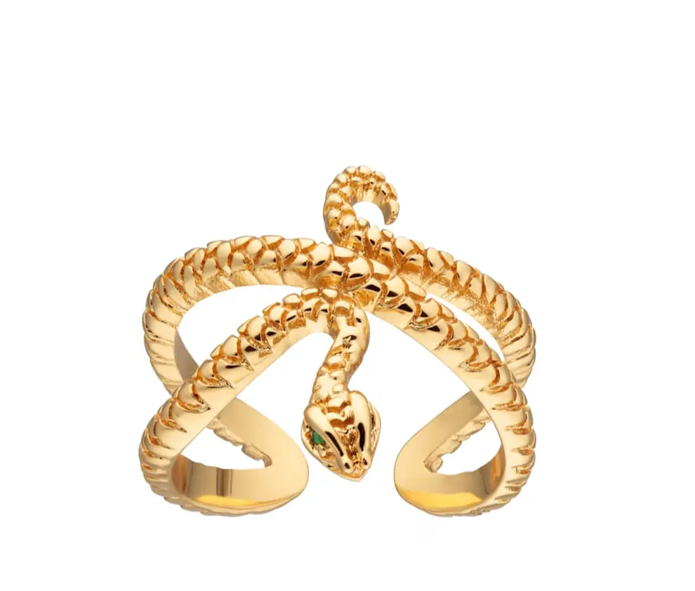 snack adjustable gold rings for foot.