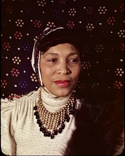 Zora Neale hurston Black Female Writers of the 20th Century