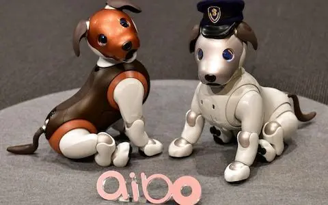 sony aibo robot dog