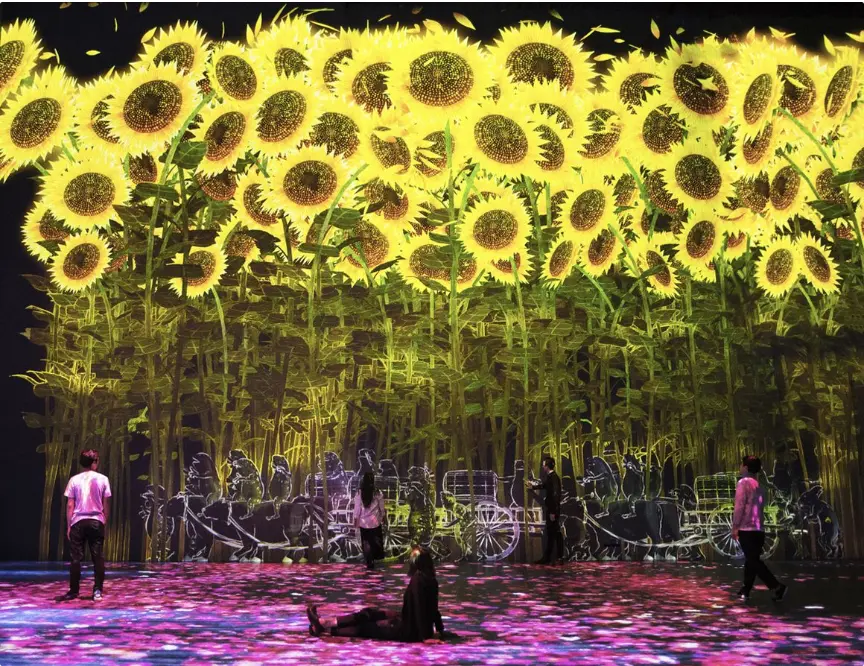 peoples in a Sensory Exhibitions