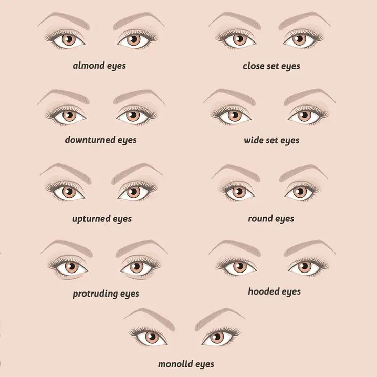 9 eye shapes with names