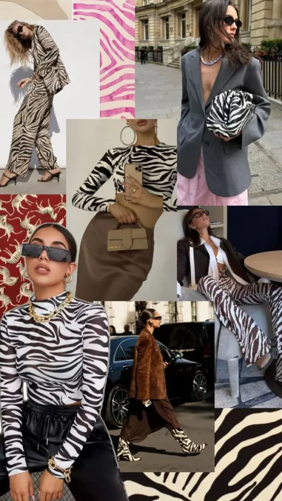 Zebra Print dress and differnt accessories like bag shoes etc in collage