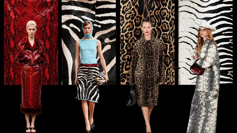 different animal print outfits
